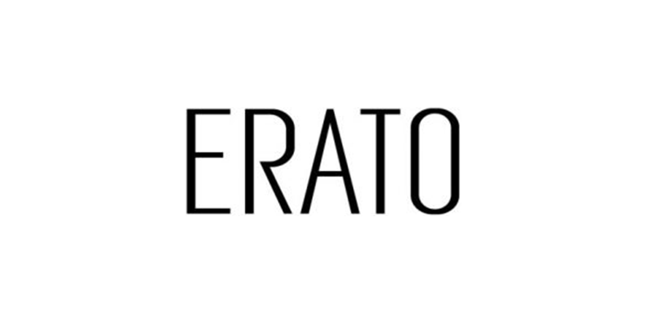 Erato kombi xəta kodları